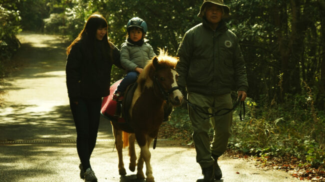 Eboshi Kogen Horse Park